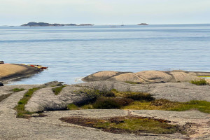 Bilde av Badeplasser og friområder